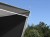 366632_F1_M.jpg